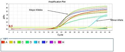 High Frequency of Post-Transfusion Microchimerism Among Multi-Transfused Beta-Thalassemic Patients